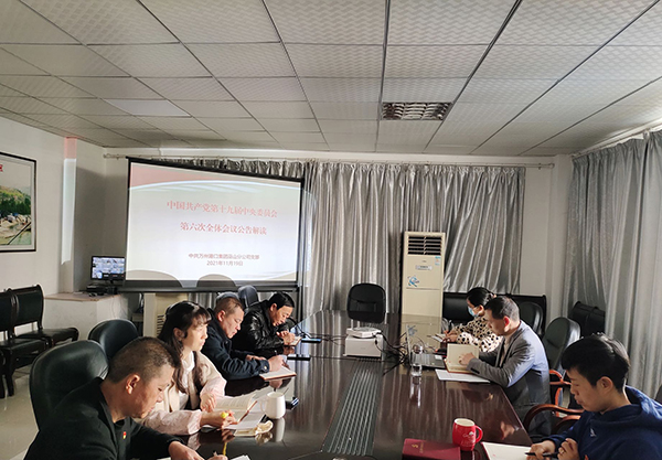 6197613701ab1.jpg 11.19巫山分公司組織全體黨員學(xué)習(xí)貫徹黨的十九屆六中全會(huì)精神.jpg
